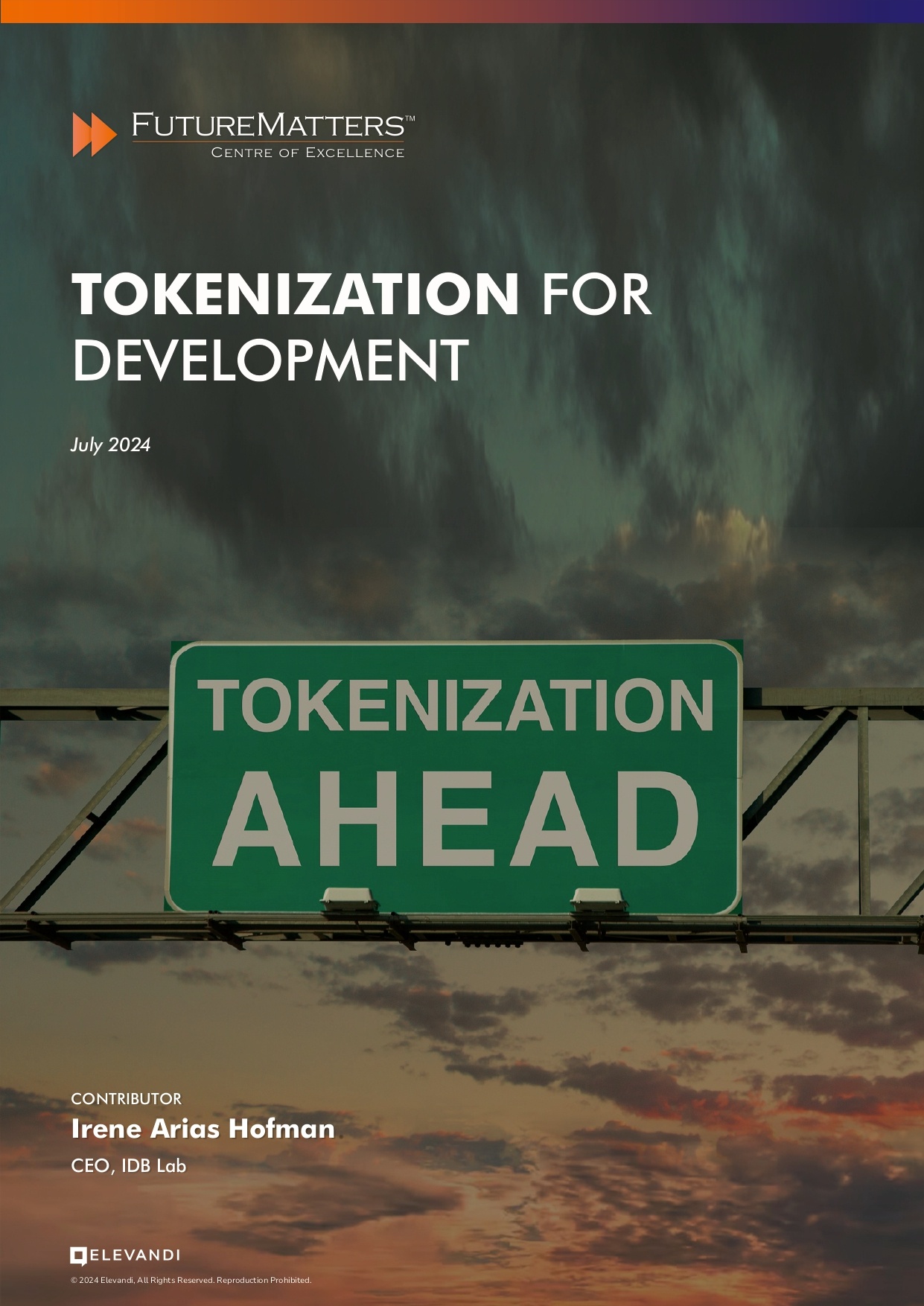 Tokenisation for Development - Irene Arias Hofman - July 2024 -Final_pages-to-jpg-0001-4