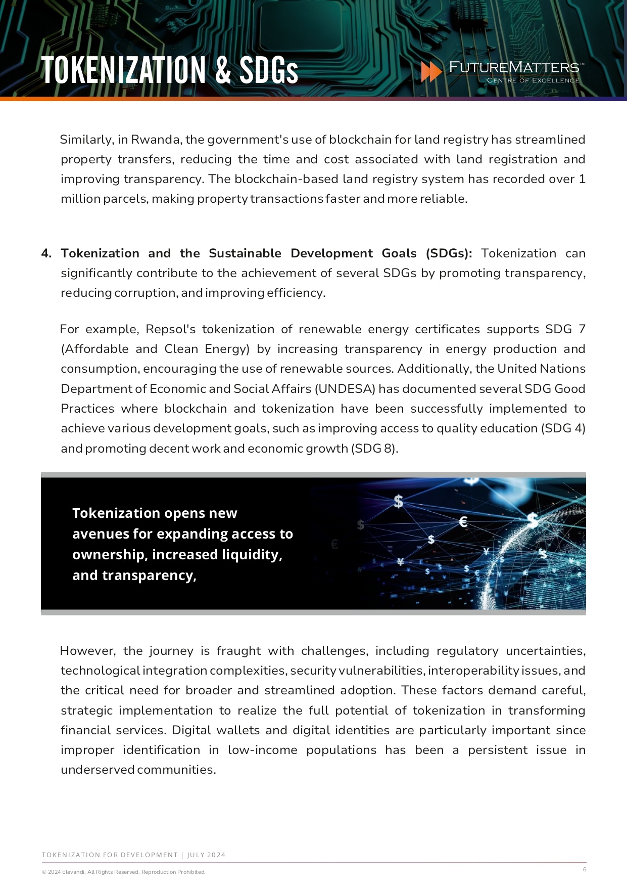 Tokenisation for Development - Irene Arias Hofman - July 2024 -Final_pages-to-jpg-0006-1